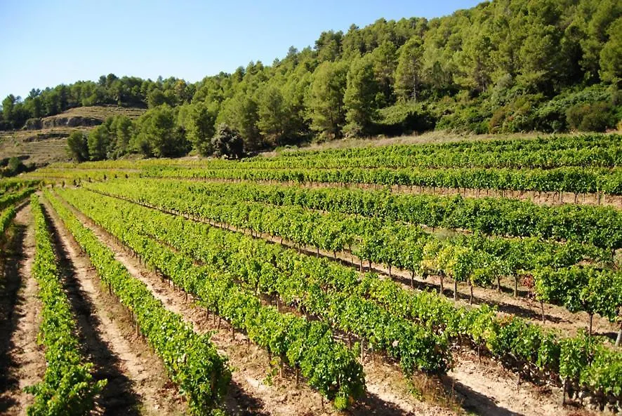 Cal Porxo Del Priorat Villa Pradell 0*,