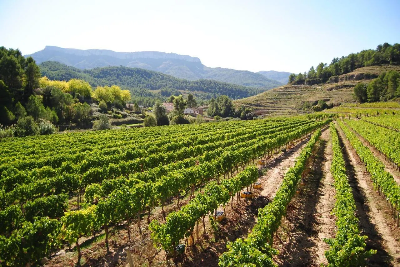Cal Porxo Del Priorat Villa Pradell